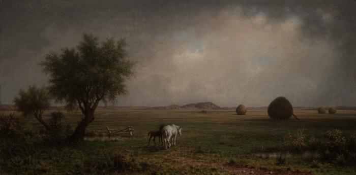 Martin Johnson Heade Mare and Colt in a Marsh Norge oil painting art